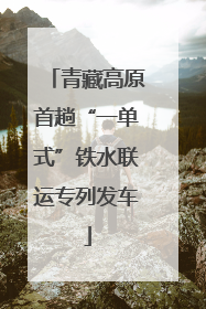 青藏高原首趟“一单式”铁水联运专列发车