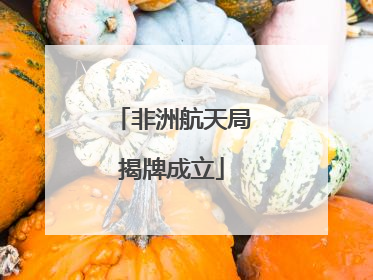 非洲航天局揭牌成立