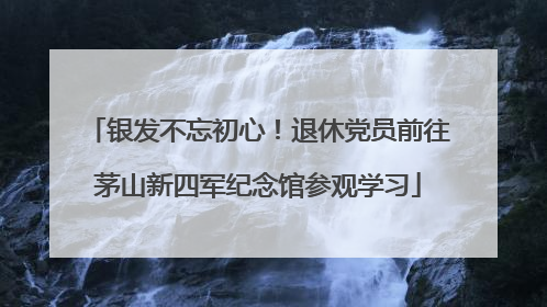 银发不忘初心！退休党员前往茅山新四军纪念馆参观学习