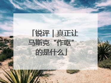 锐评｜真正让马斯克“作呕”的是什么