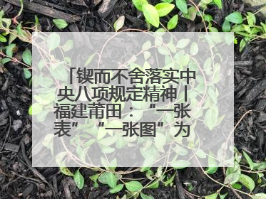 锲而不舍落实中央八项规定精神丨福建莆田：“一张表”“一张图”为基层减轻“数字负担”