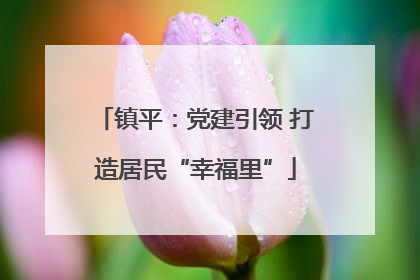 镇平：党建引领 打造居民“幸福里”