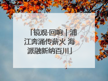 镜观·回响｜浦江奔涌传薪火 海派融新纳百川