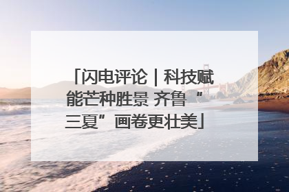 闪电评论｜科技赋能芒种胜景 齐鲁“三夏”画卷更壮美