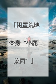闲置荒地变身“小鹿菜园”