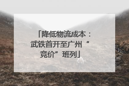 降低物流成本：武铁首开至广州“竞价”班列