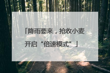 降雨要来，抢收小麦开启“倍速模式”