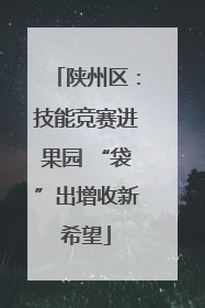 陕州区：技能竞赛进果园 “袋”出增收新希望