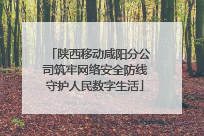 陕西移动咸阳分公司筑牢网络安全防线守护人民数字生活