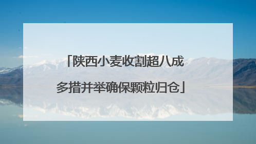 陕西小麦收割超八成 多措并举确保颗粒归仓