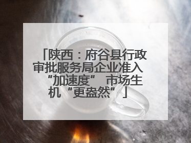 陕西：府谷县行政审批服务局企业准入“加速度” 市场生机“更盎然”