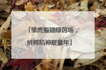 雏鹰振翅绿茵场，拼搏精神耀童年