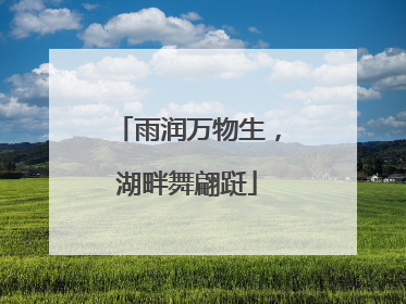 雨润万物生，湖畔舞翩跹