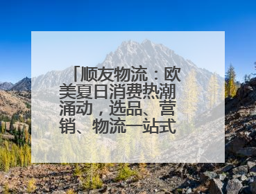 顺友物流：欧美夏日消费热潮涌动，选品、营销、物流一站式攻略来袭