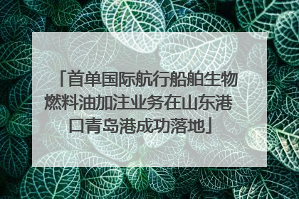 首单国际航行船舶生物燃料油加注业务在山东港口青岛港成功落地