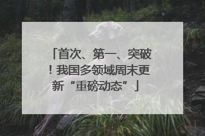 首次、第一、突破！我国多领域周末更新“重磅动态”