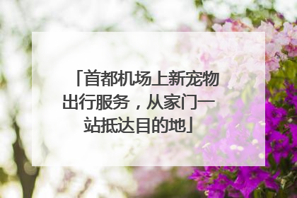 首都机场上新宠物出行服务，从家门一站抵达目的地