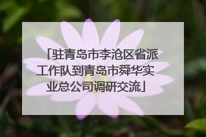 驻青岛市李沧区省派工作队到青岛市舜华实业总公司调研交流