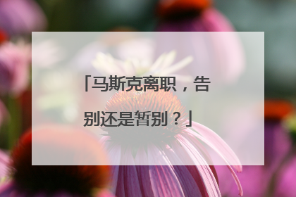 马斯克离职，告别还是暂别？