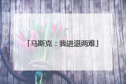 马斯克:我进退两难
