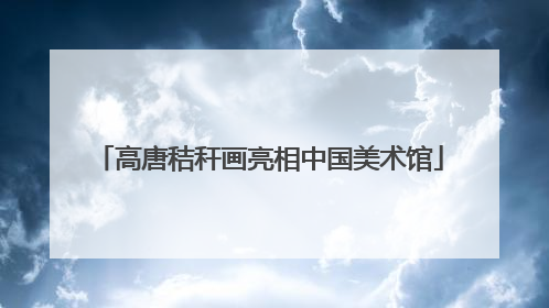 高唐秸秆画亮相中国美术馆
