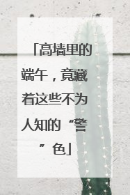 高墙里的端午，竟藏着这些不为人知的“警”色
