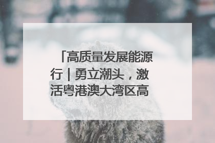 高质量发展能源行｜勇立潮头，激活粤港澳大湾区高质量发展动力源