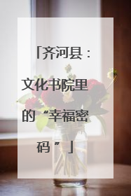 齐河县：文化书院里的“幸福密码 ”