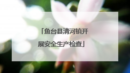 鱼台县清河镇开展安全生产检查