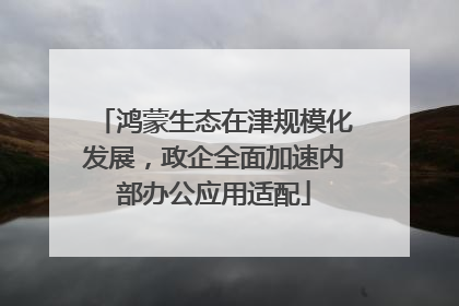 鸿蒙生态在津规模化发展，政企全面加速内部办公应用适配