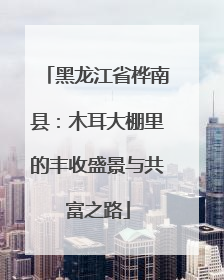 黑龙江省桦南县：木耳大棚里的丰收盛景与共富之路