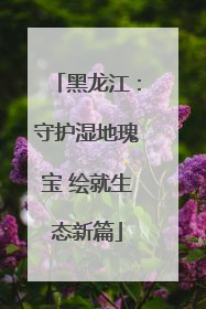 黑龙江：守护湿地瑰宝 绘就生态新篇