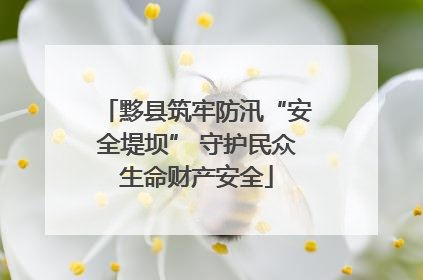 黟县筑牢防汛“安全堤坝” 守护民众生命财产安全