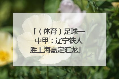 （体育）足球——中甲：辽宁铁人胜上海嘉定汇龙