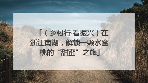 （乡村行·看振兴）在浙江南湖，解锁一颗水蜜桃的“甜蜜”之旅