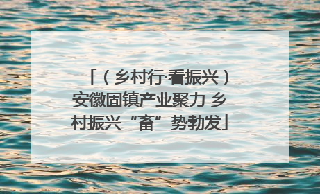 （乡村行·看振兴）安徽固镇产业聚力 乡村振兴“畜”势勃发
