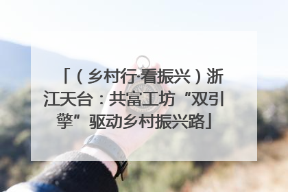 （乡村行·看振兴）浙江天台：共富工坊“双引擎”驱动乡村振兴路