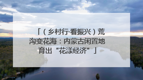 （乡村行·看振兴）荒沟变花海：内蒙古闲置地育出“花漾经济”