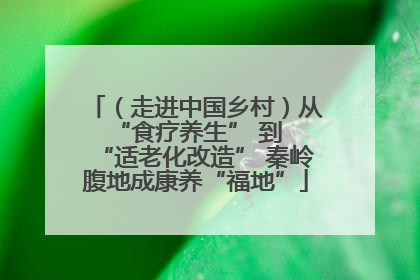 （走进中国乡村）从 “食疗养生” 到 “适老化改造” 秦岭腹地成康养“福地”