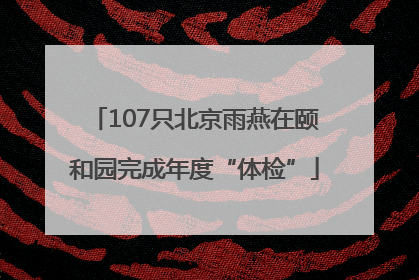 107只北京雨燕在颐和园完成年度“体检”