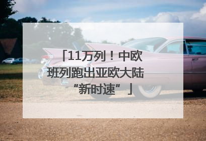 11万列！中欧班列跑出亚欧大陆“新时速”