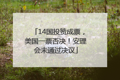 14国投赞成票，美国一票否决！安理会未通过决议