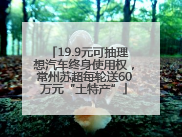 19.9元可抽理想汽车终身使用权，常州苏超每轮送60万元“土特产”