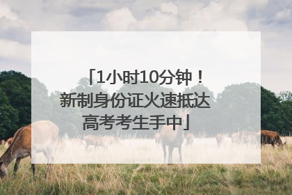 1小时10分钟！新制身份证火速抵达高考考生手中