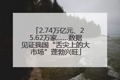 2.74万亿元、25.62万家……数据见证我国“舌尖上的大市场”蓬勃兴旺