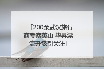200余武汉旅行商考察英山 毕昇漂流升级引关注