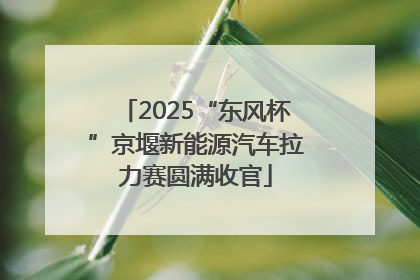 2025“东风杯”京堰新能源汽车拉力赛圆满收官