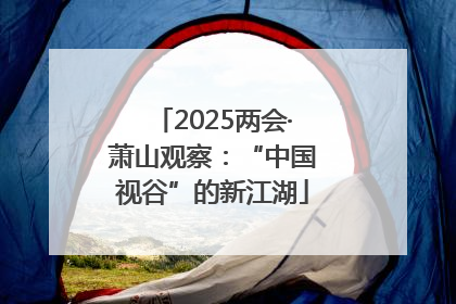 2025两会·萧山观察：“中国视谷”的新江湖