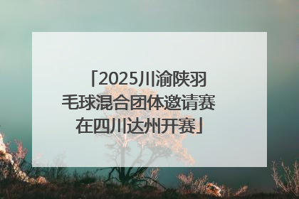 2025川渝陕羽毛球混合团体邀请赛在四川达州开赛