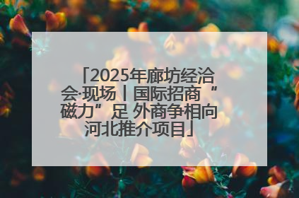 2025年廊坊经洽会·现场丨国际招商“磁力”足 外商争相向河北推介项目